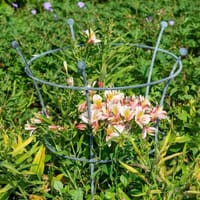 Växtstöd Trumpet Peony, antikgrå